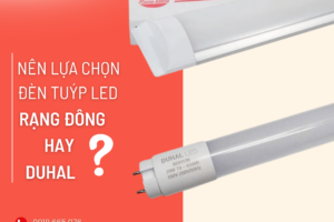 Nên Chọn Bóng Đèn Tuýp LED Duhal Hay Rạng Đông?